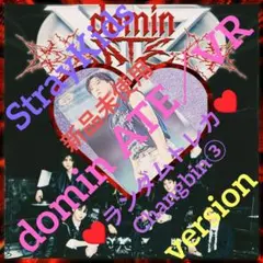 ◆StrayKids◆domin ATE／VR／ラントレ／Changbin ③