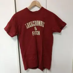アバクロンビー＆フィッチ ビンテージTシャツ 新品未使用