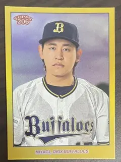 宮城大弥　50シリアル　topps206 2024 オリックスバファローズ