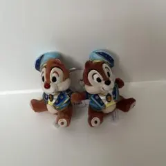 チップとデール ぬいぐるみバッジ ディズニーシー 15周年