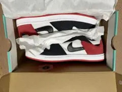NIKE SB ナイキSB アリウープ 新品未開封