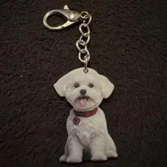 〔値下げ〕犬 キーホルダー ビションフリーゼ アクリル製 白トイプードル 犬雑貨のサムネイル
