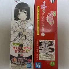 2026年最新】一番くじ 冴えない彼女の育てかた ラストワン賞の人気