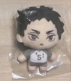 ハイキュー‼︎ 　セガ　ラッキーくじ　B賞 ぬいぐるみマスコット　赤葦