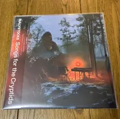 BIALYSTOCKS LPレコード QUICKSAND Amazon.co.jp: Quicksand[LP] - Bialystocks [Analog]: ミュージック