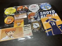 ハイキュー　日向翔陽 セット