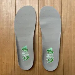 23cm 中敷　ムーンスター　CR J2103