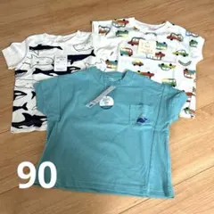 Item thumbnail for item 5b25357a-85fa-455a-a83d-de7e96dbe9cd