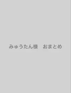 みゅうたん様　おまとめ