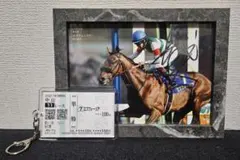 50枚限定 シリアル競馬 ホースレーシングカード フォーエバーヤング