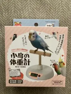 小鳥の体重計 Minimal Land 鳥用 体重管理のサムネイル