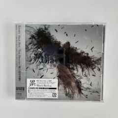 Aimer「Black Bird/Tiny Dancers/思い出は奇麗で」