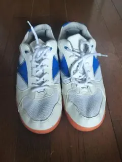 Item thumbnail for item 73d6c19c-c91e-410f-a6ae-93f6b6a62549