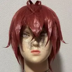 リドル　ウィッグ Amazon.co.jp: ツイステッドワンダーランド コスプレ Riddle