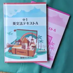 Spica様 リクエスト 2点 まとめ商品