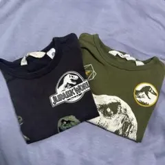 ロンT 2枚セット　恐竜　２Y