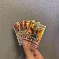 コッコ武ルピア Amazon.co.jp: コッコ 武 ルピア