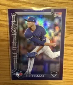 Item thumbnail for item 2e939501-6d3e-4d47-8a17-7d1e763a57be