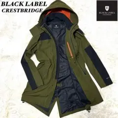 Item thumbnail for item 966f0069-db32-4dae-9124-40c6fc256715