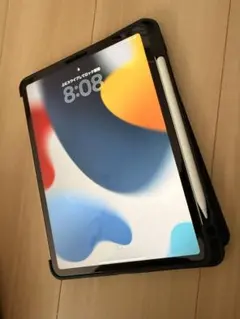 iPad Pro 11 inch 第1世代 256GBのサムネイル