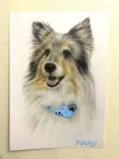ペットの似顔絵オーダー　シェルティ ペット似顔絵 犬似顔絵 シェルティイラスト(愛犬オーダー うちの