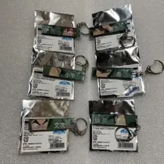 忍たま ドクタケ忍者隊 最強の軍師 トレーディング目ヂカラ アクキー 六年生