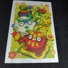 ポケモン ポストカード 1月