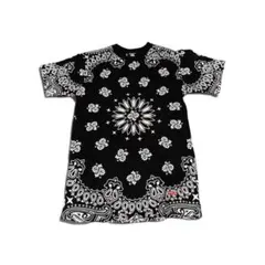 Supreme Hanes ペイズリー tシャツ