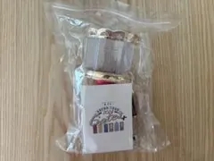 美少年 ペンライト Gates 2024