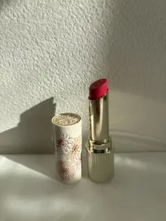 PAUL & JOE リップスティック N 02 ケース付き