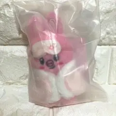 スキズ 韓国 6th ペンミ SKZOO ぬいぐるみ 10cm バンチャン - メルカリ