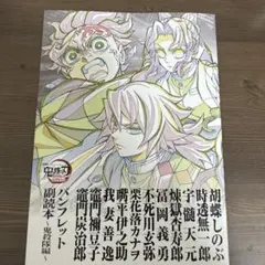 映画 鬼滅の刃 無限場編 入場者特典 第12弾 パンフレット副読本 〜鬼殺隊編〜