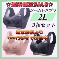 シームレスブラ ノンワイヤー 大きい ナイトブラ 着痩せ 美胸 まとめ売り 下着