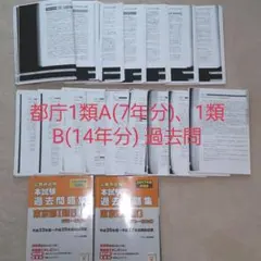【値下げしました】都庁 1類A(7年分)・B過去問(14年分)のサムネイル