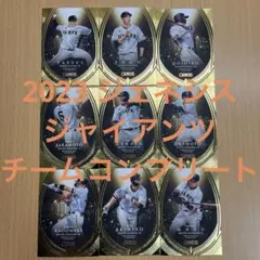 読売ジャイアンツ 坂本勇人 HAYATO2000 カウントダウン缶バッジ コンプ