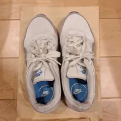 Nike スニーカー ホワイト/ブルー