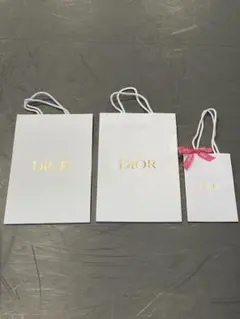 新品ディオールDiorショッピングバッグ袋　ショッパー　プレゼント　3