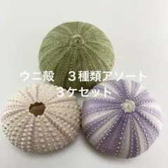 たかなし様 リクエスト 2点 まとめ商品