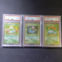 PSA10 クラシック　フシギダネ　フシギソウ　フシギバナ　連番　clf PSA10 クラシック フシギダネ フシギソウ フシギバナ 連番 clf - メルカリ