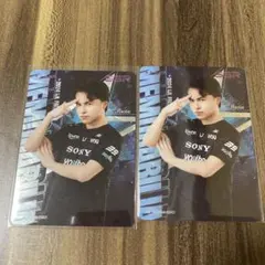 IJL カード RC Raolie