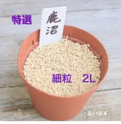 【硬質】 鹿沼土 細粒 2L 多肉植物 寄せ植え サボテン 観葉植物