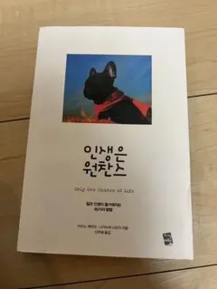 韓国語本人生はワンチャンス인생은 원찬스