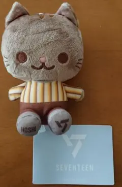2025年最新】seventeen ホシ ぬいぐるみの人気アイテム - メルカリ