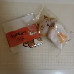 Item thumbnail for item 96cc9b4d-00f2-4fa6-8d70-1c2043b51b1c