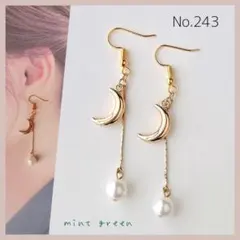 No.243 ピアス　イヤリング