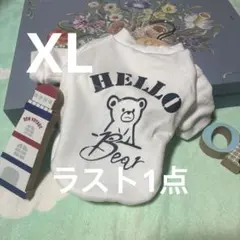 Item thumbnail for item 2e637069-5c23-401c-9bd4-a04c9252443c