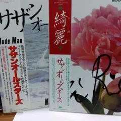 サザンオールスターズ Nude Man 綺麗 レコード2枚セットのサムネイル