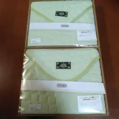 Item thumbnail for item cdbcec60-accf-42e8-b87c-8f93dc673c79