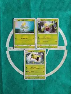 マダツボミ ウツドン ウツボット 6枚セット - メルカリ