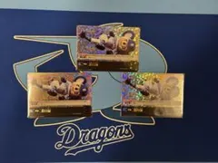 ドリームオーダー 中日ドラゴンズ 荒木雅博 4枚 - メルカリ